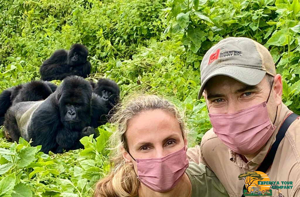 Celebrate Your Wedding Anniversary with a Gorilla Trek