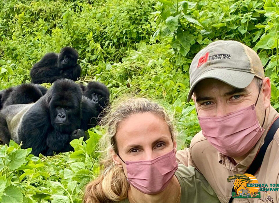 Celebrate Your Wedding Anniversary with a Gorilla Trek