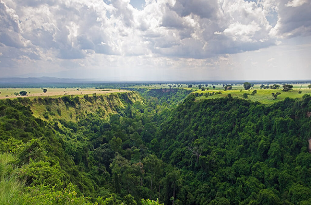 Facts About Kyambura Gorge: Discover Uganda’s Sunken Rainforest