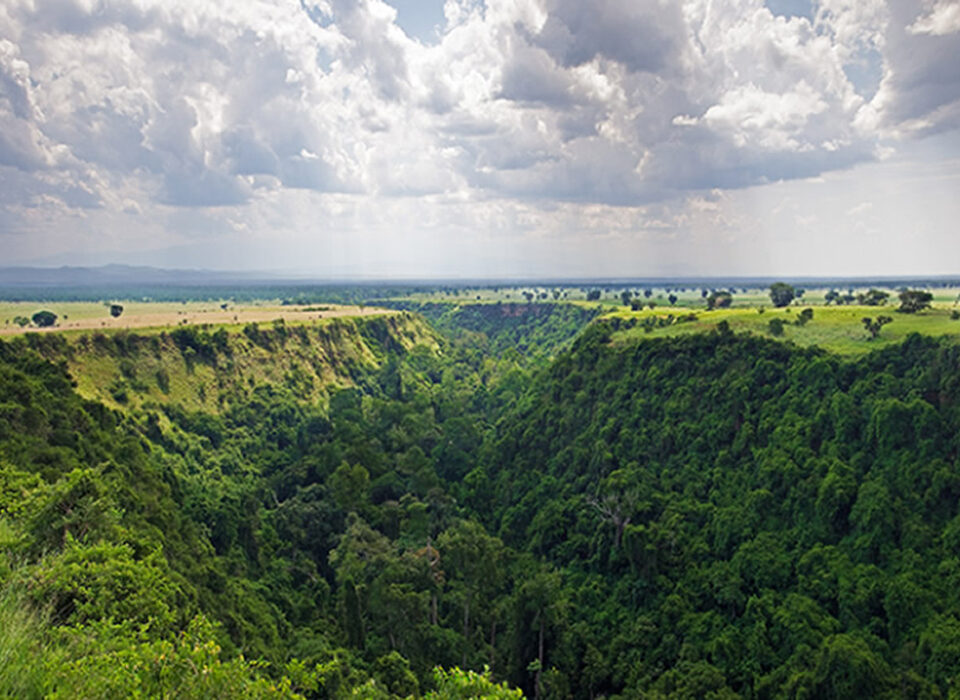 Facts About Kyambura Gorge: Discover Uganda’s Sunken Rainforest