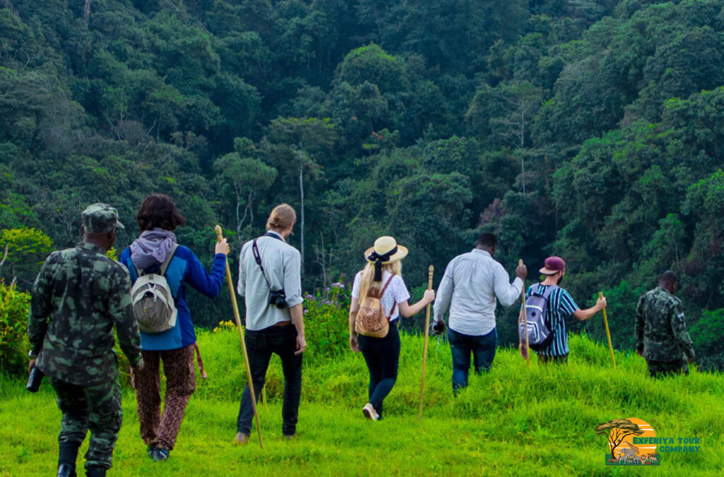 How Safe Is Rwanda for Tourists?