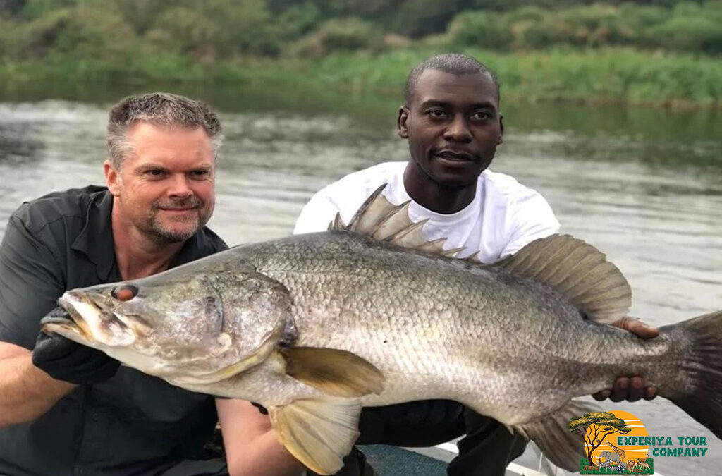 Sport Fishing in Murchison Falls National Park