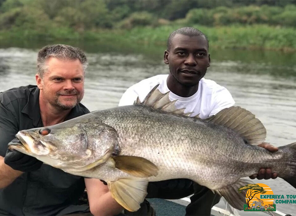 Sport Fishing in Murchison Falls National Park