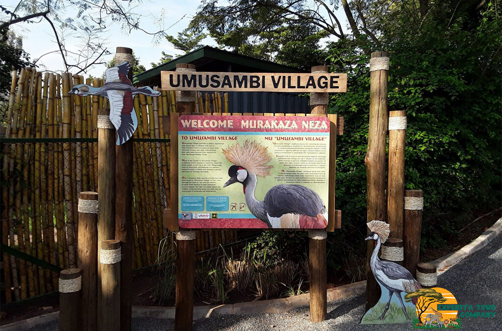 All You Need to Know About Umusambi Conservancy Village