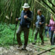 Volcano Hiking and Nature Walks in Mgahinga Gorilla National Park