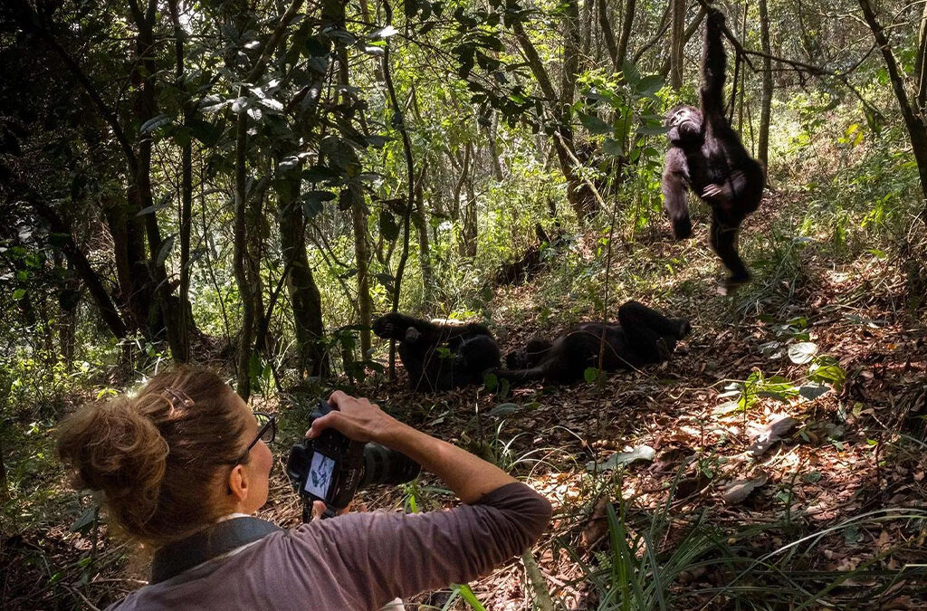 Top Activities to Do in Volcanoes National Park, Rwanda