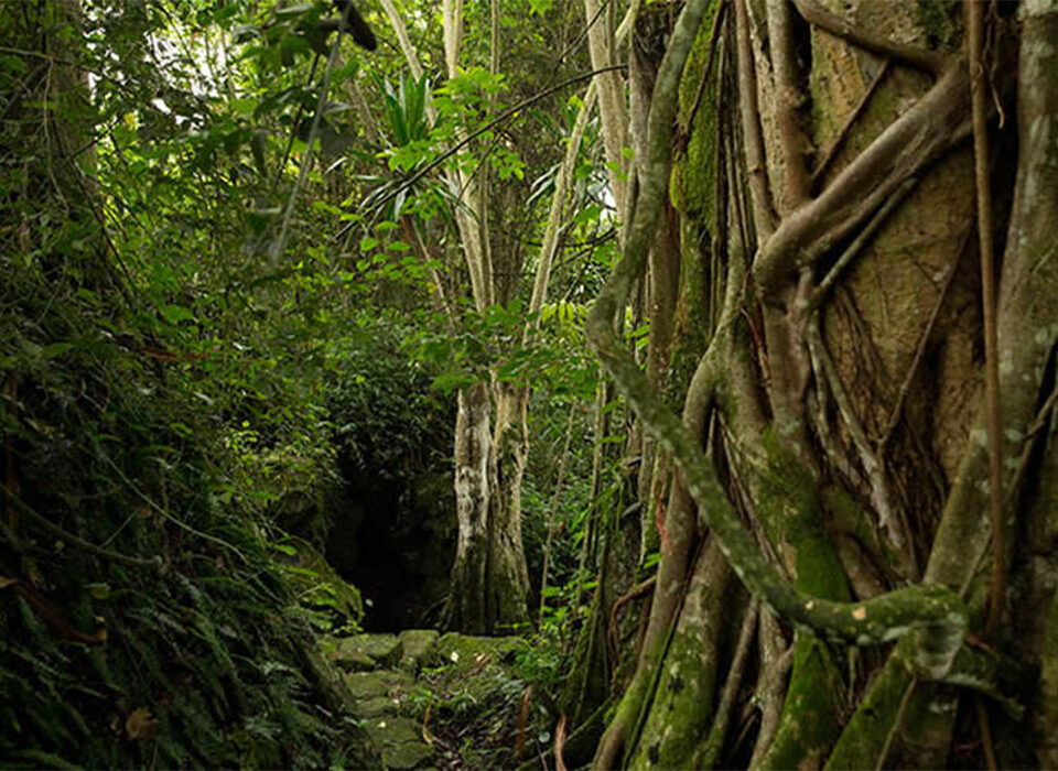 Things to Do in Buhanga Eco-Park, Rwanda