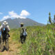 Climbing the Virunga Volcanoes in Mgahinga Gorilla National Park