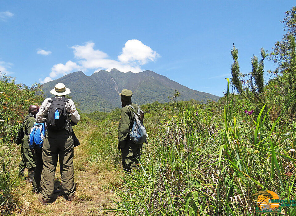 Climbing the Virunga Volcanoes in Mgahinga Gorilla National Park