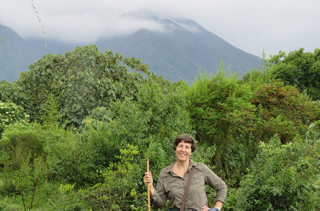 Is Mgahinga Gorilla National Park good for beginners