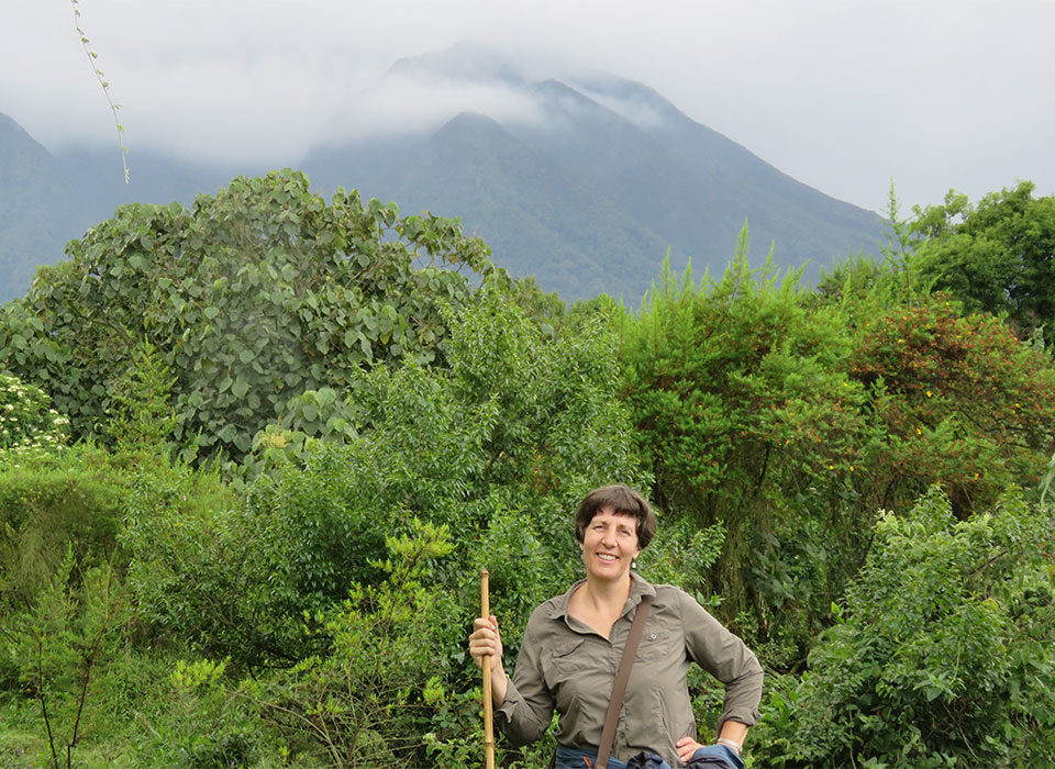 Is Mgahinga Gorilla National Park good for beginners