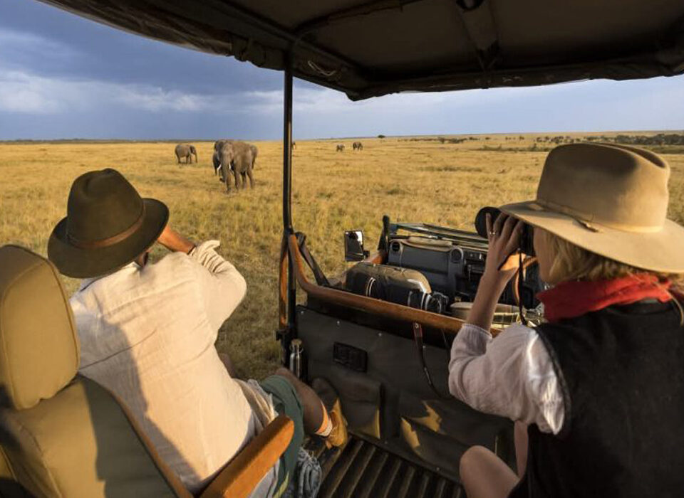 10 Things to Consider Before Visiting Kenya on Safari in 2026