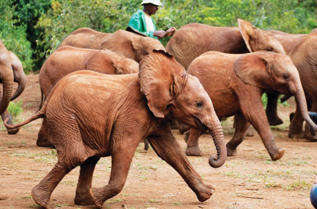 What to Do in Nairobi City: A Complete Travel Guide