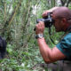 Are Flash Cameras Allowed During Rwanda Gorilla Trekking?