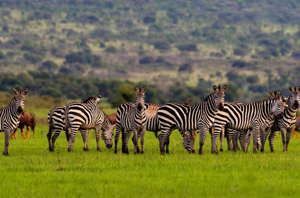 Popular Rwanda Destinations 2026