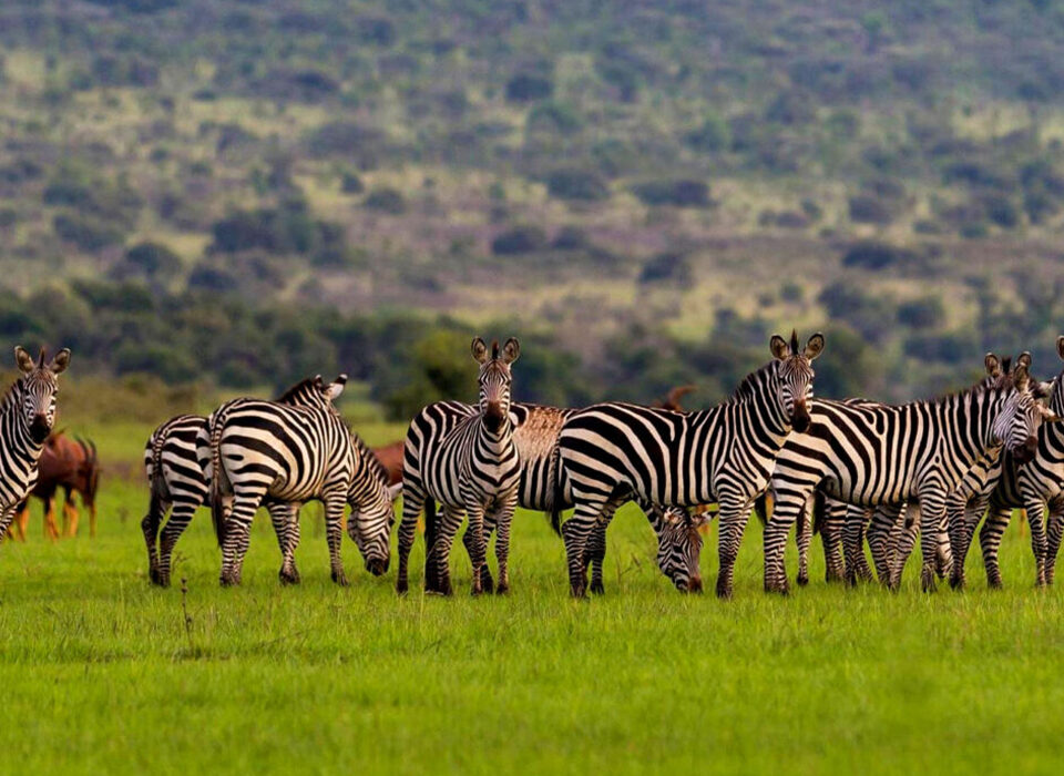 Popular Rwanda Destinations 2026