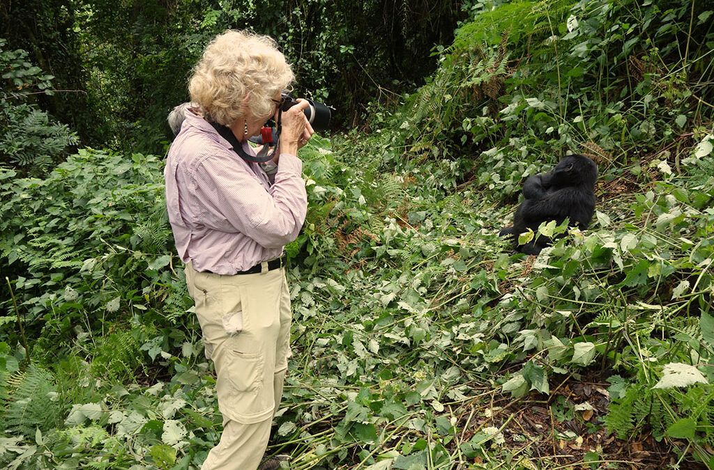 Ruhija vs Buhoma for First-Time Gorilla Trekkers