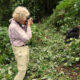 Ruhija vs Buhoma for First-Time Gorilla Trekkers