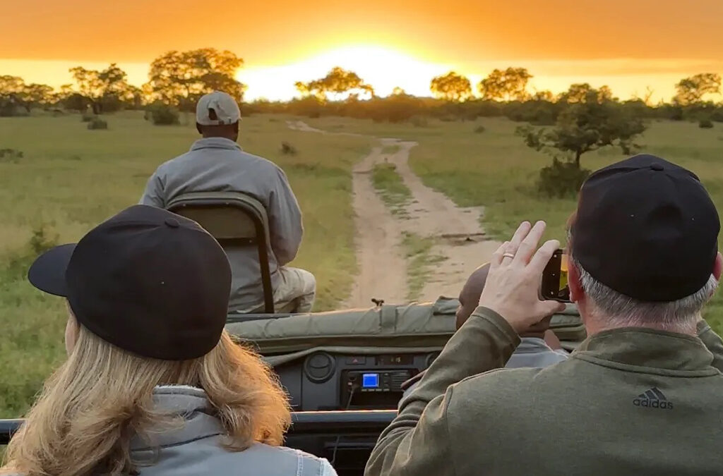 How to Choose the Best Travel Month for a Safari