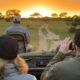 How to Choose the Best Travel Month for a Safari