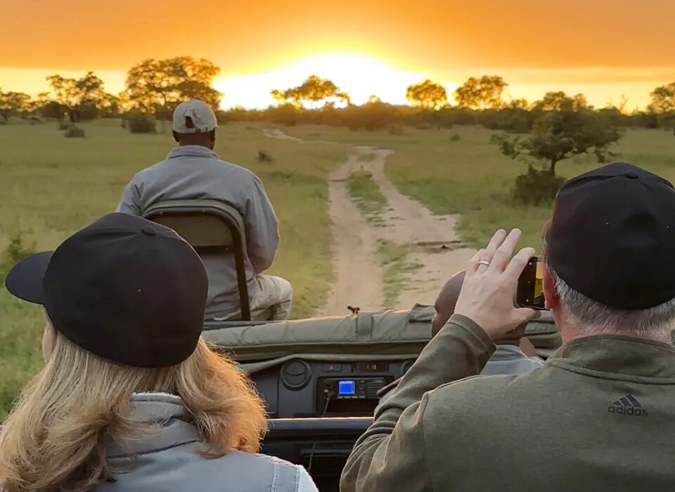How to Choose the Best Travel Month for a Safari