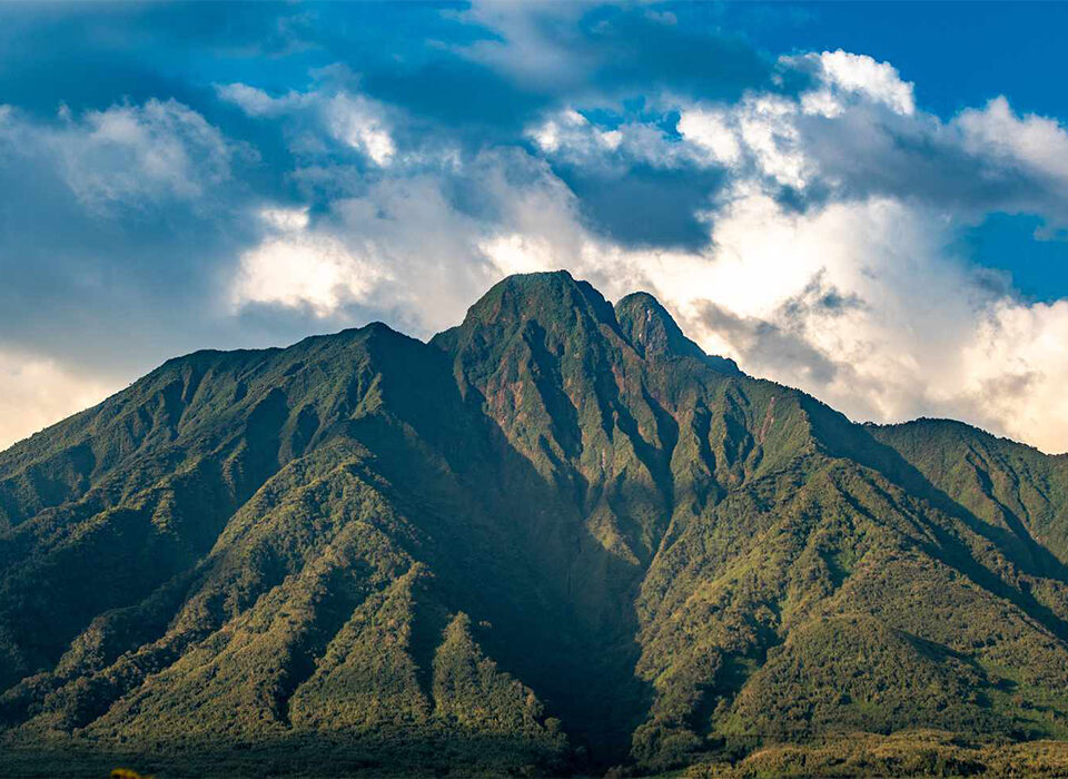 Discover the best time to visit Rwanda with tips on weather, wildlife, gorilla trekking, and cultural experiences.