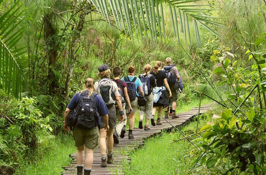 Activities to Do in Bigodi Swamp, Uganda