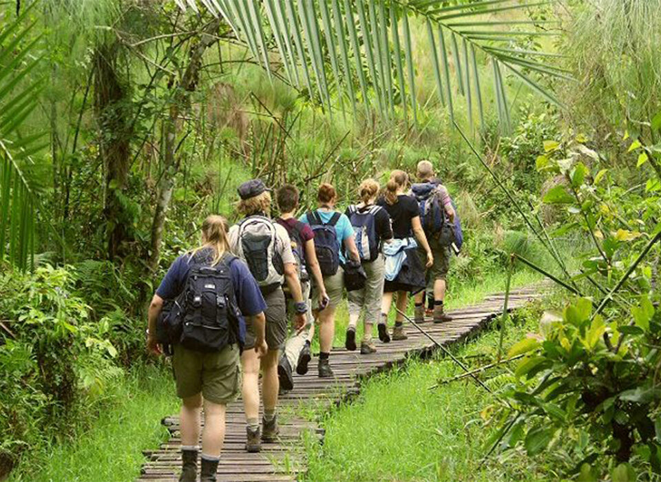Activities to Do in Bigodi Swamp, Uganda