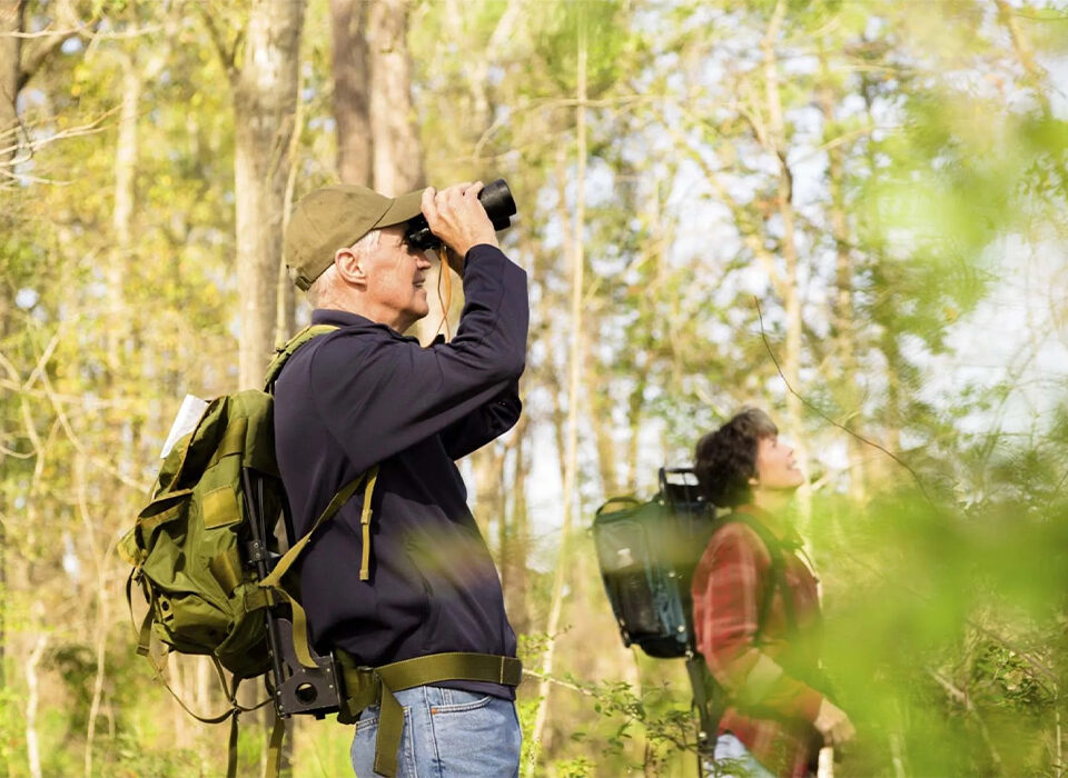 Birdwatching Highlights in Nkuringo Sector, Bwindi Impenetrable National Park
