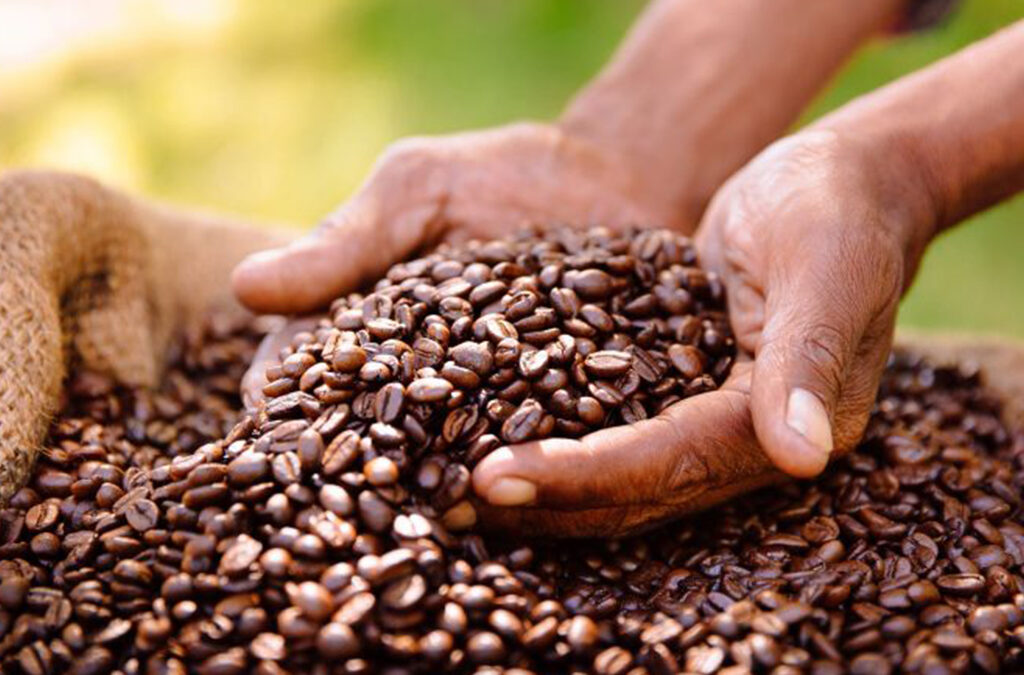 Coffee Tours in Queen Elizabeth National Park