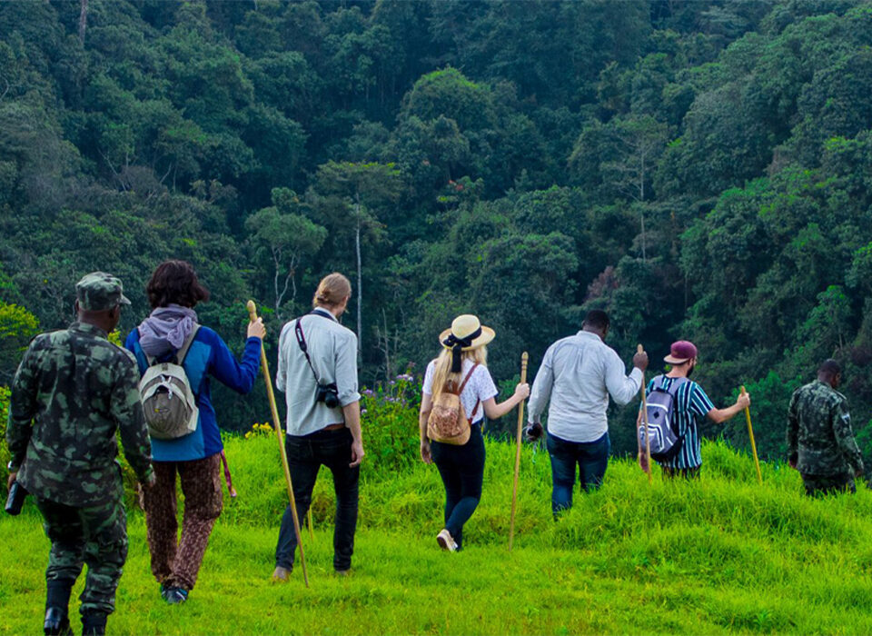 Is Rwanda Safe for Travelers in 2026?