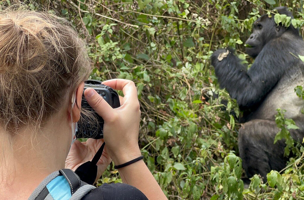 Essential Mountain Gorilla Trekking Safety Precautions in Rwanda