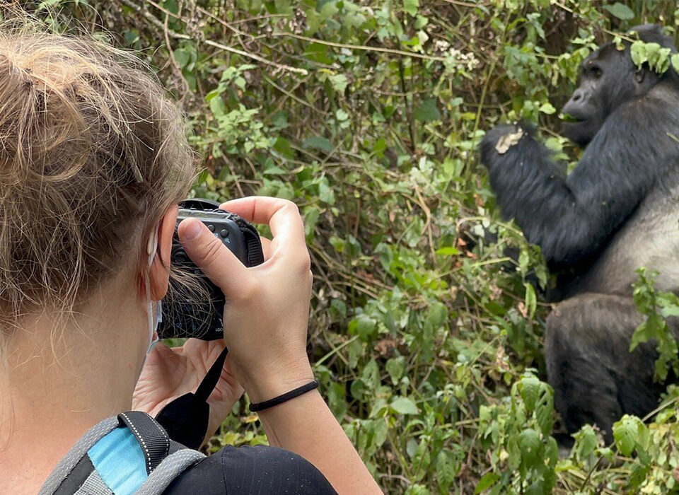 Essential Mountain Gorilla Trekking Safety Precautions in Rwanda