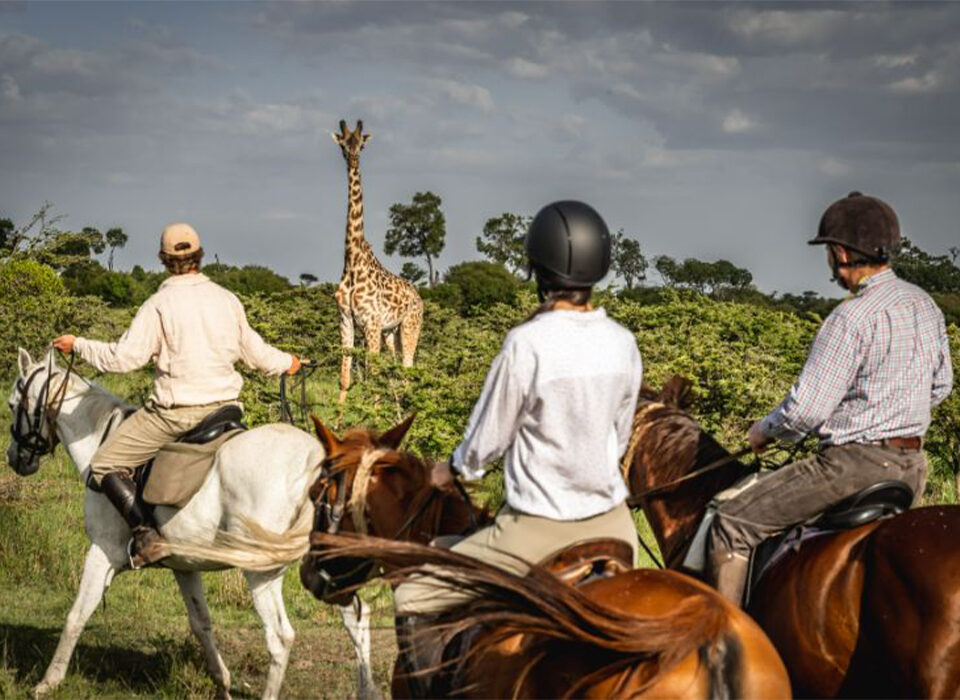Where to Go Horse Riding in East Africa