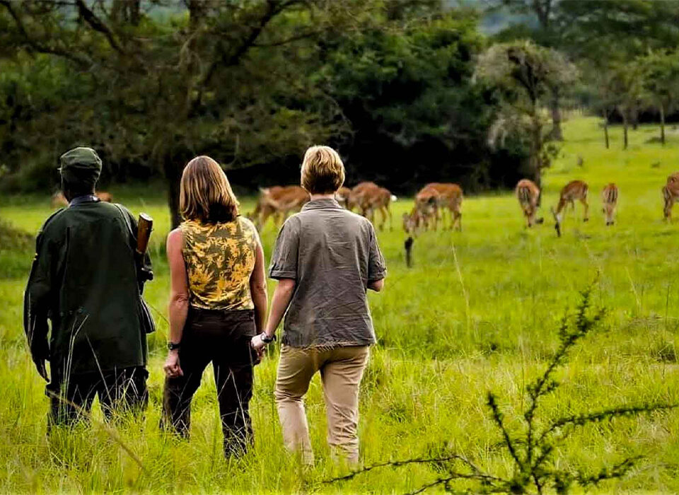Walking Safaris in Lake Mburo National Park