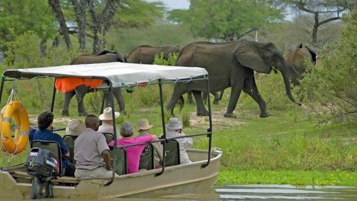 Explore Tanzania’s Nyerere Game Reserve