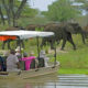 Explore Tanzania’s Nyerere Game Reserve