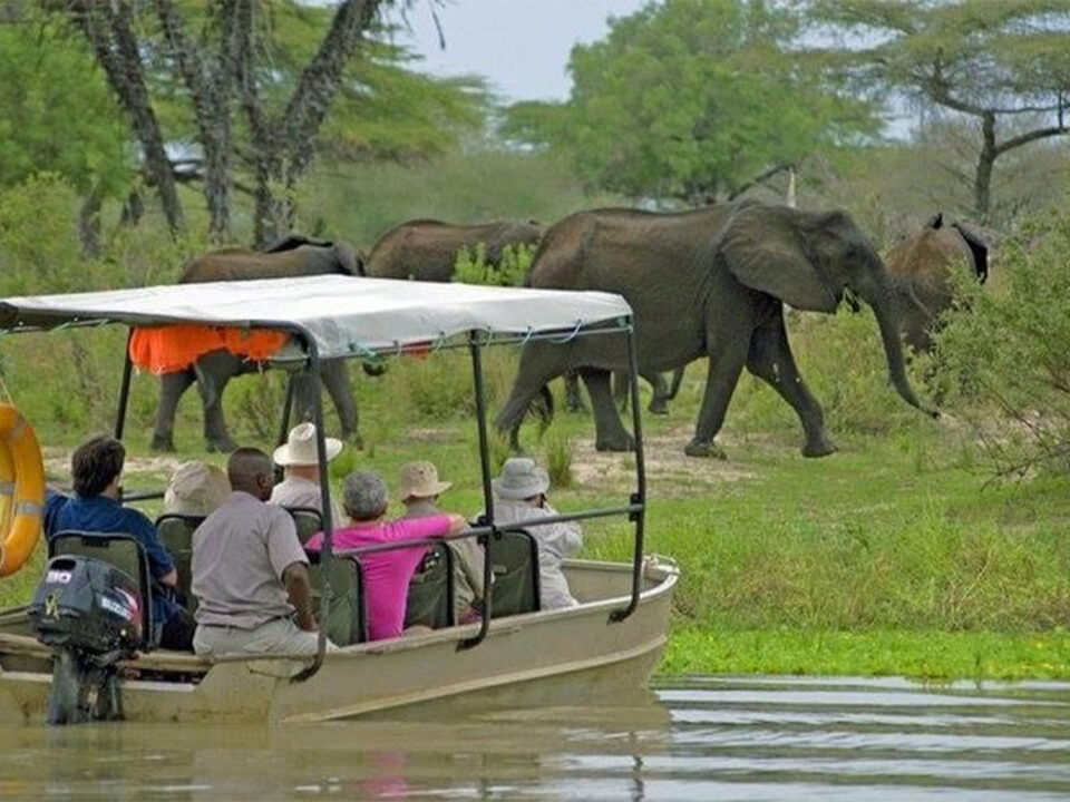 Explore Tanzania’s Nyerere Game Reserve