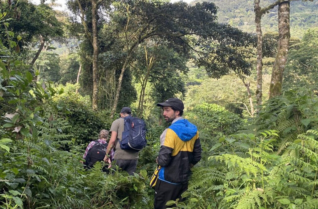One-Day Nature Walk to Bayenda Waterfalls in Bwindi Impenetrable National Park