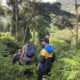 One-Day Nature Walk to Bayenda Waterfalls in Bwindi Impenetrable National Park