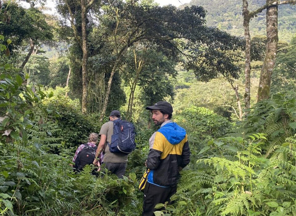 One-Day Nature Walk to Bayenda Waterfalls in Bwindi Impenetrable National Park