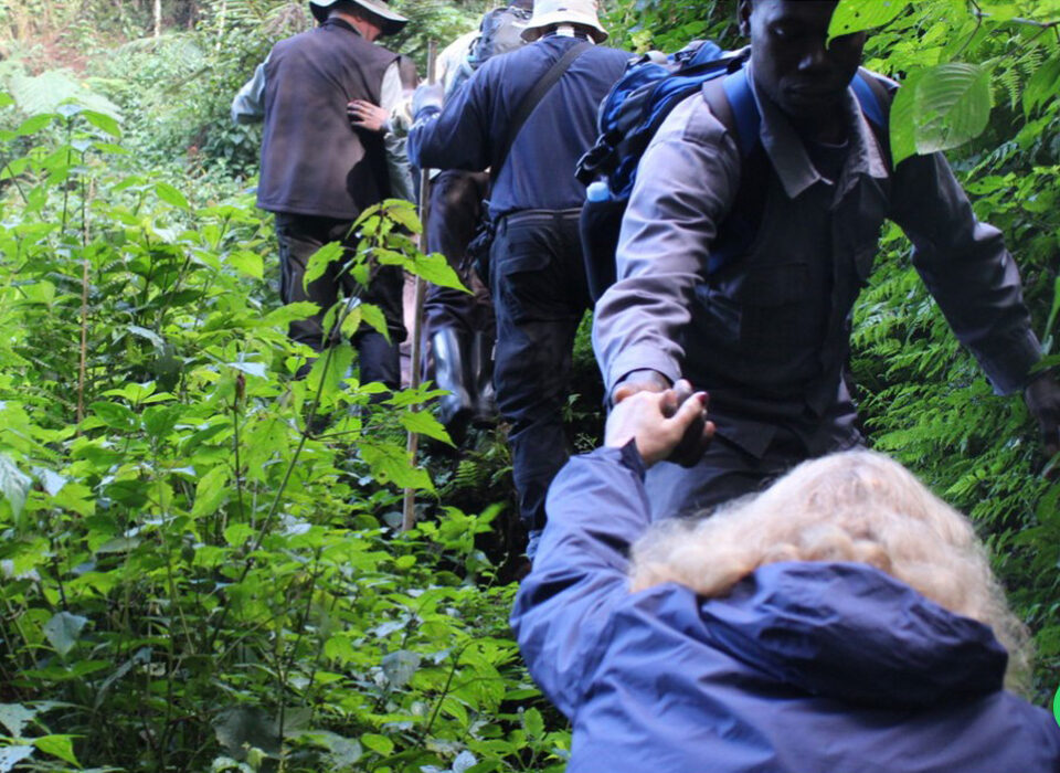 The Benefits of Hiring Porters for Gorilla Trekking in Rwanda