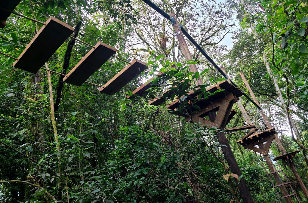 Nyungwe Zipline and Rope Course Adventure