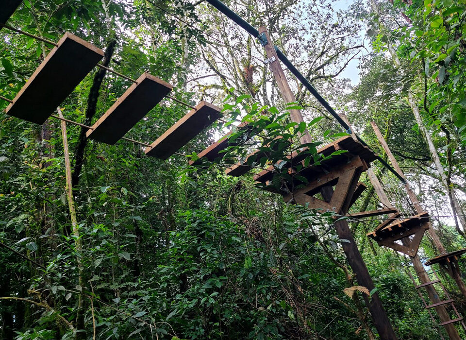 Nyungwe Zipline and Rope Course Adventure