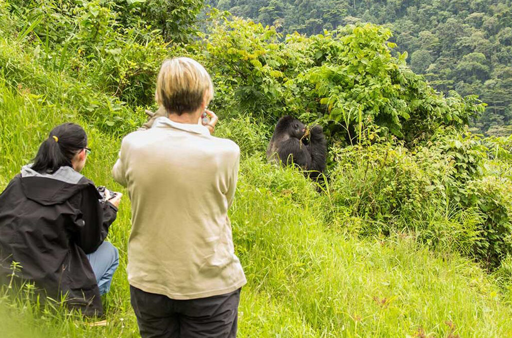 Which Sector of Bwindi Is Closest to Kigali?