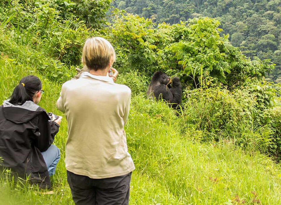 Which Sector of Bwindi Is Closest to Kigali?