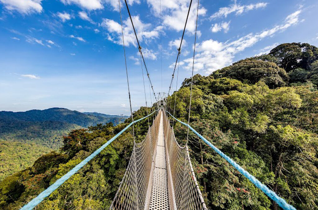 Things to Do in Rusizi: Exploring Rwanda’s Southwestern Charm