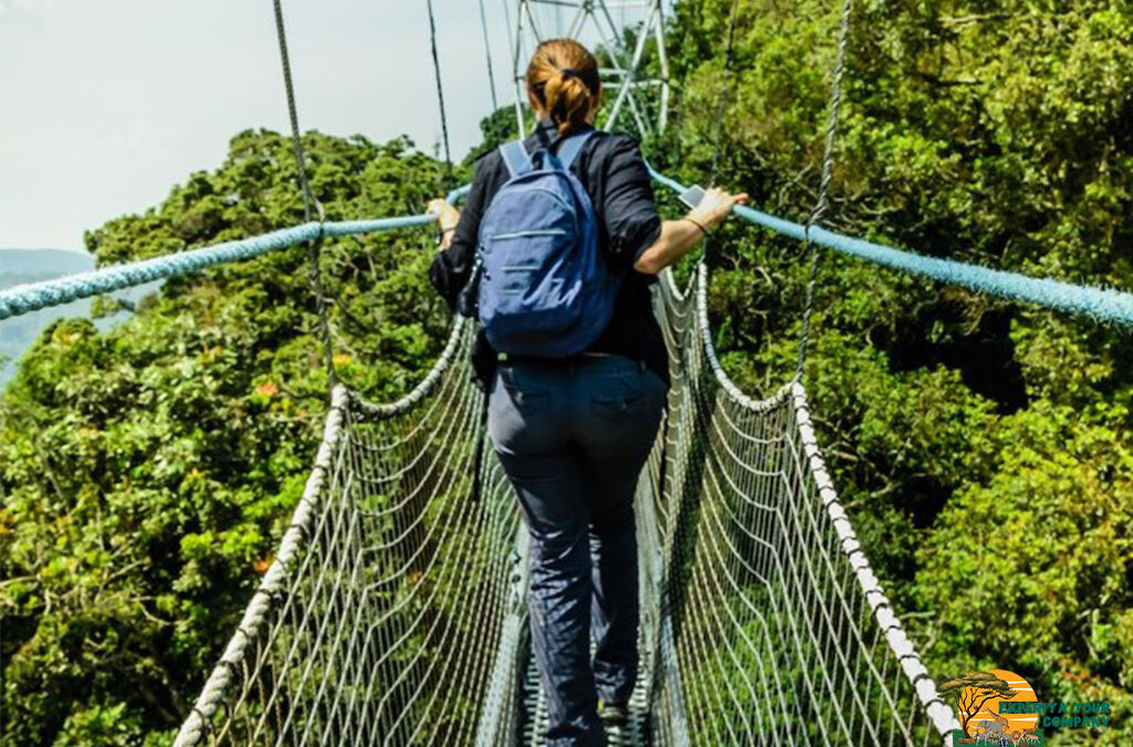 What You Should Know About a Rwanda Safari