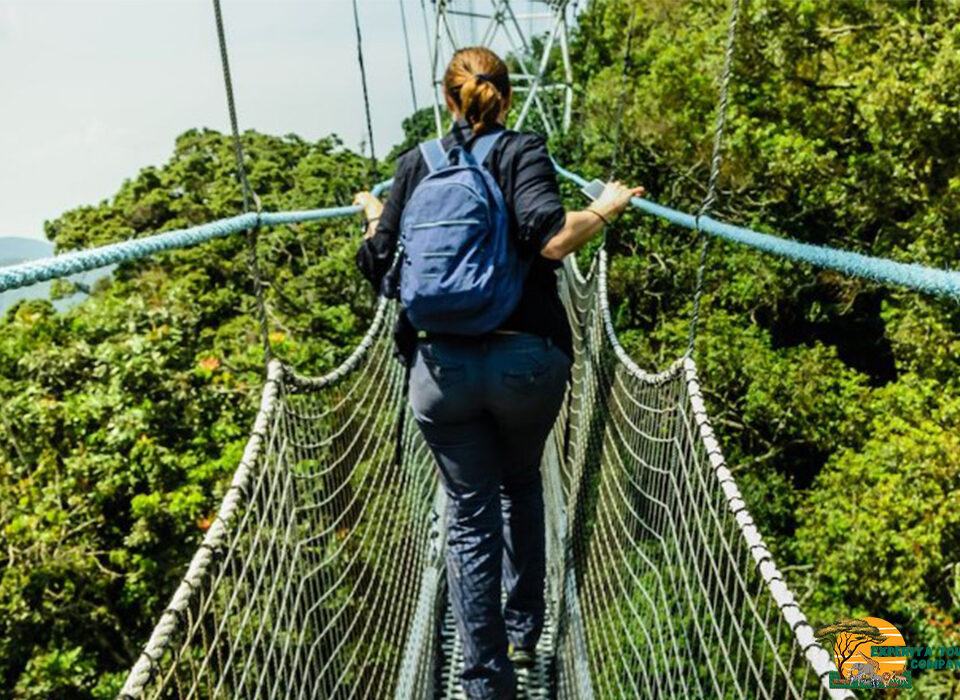 What You Should Know About a Rwanda Safari