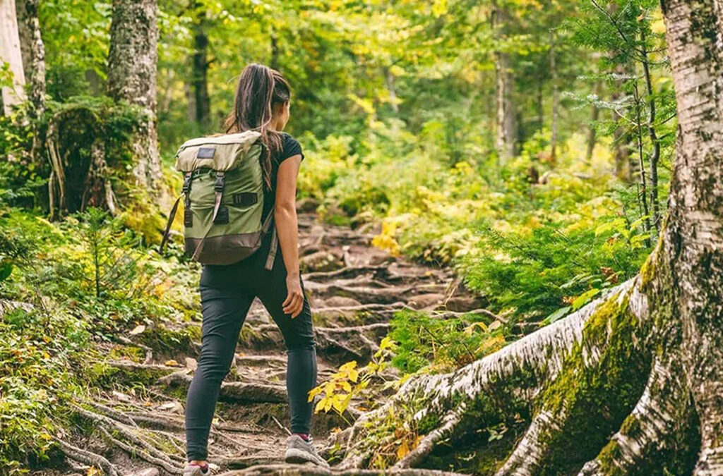 Best Uganda Safaris for Solo Travelers